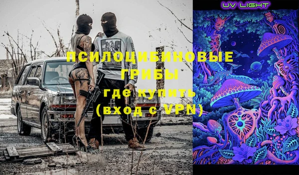 шишки Армянск