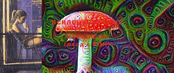 стаф Михайловск