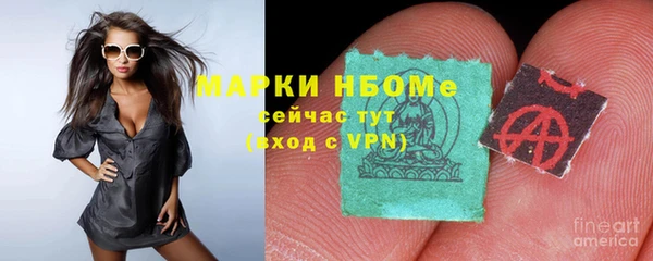 ешки Аркадак