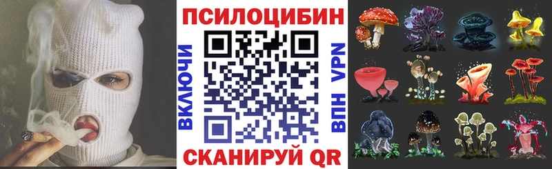 Купить закладки Белебей Псилоцибиновые грибы ЛСД